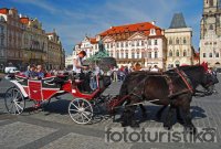 Carriage rides