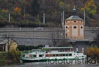 Sightseeing boat cruises