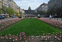Wenceslas Square