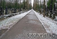 New Jewish Cemetery