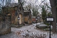 Olšany cemetery