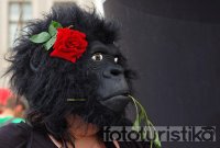 Run for Gorillas
