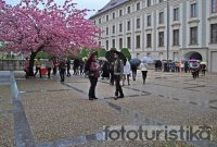 Prague Castle