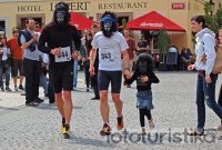 Run for Gorillas