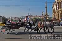 Carriage rides