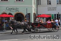 Carriage rides