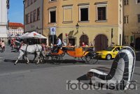 Carriage rides