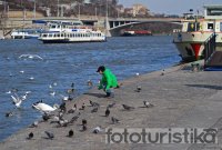 Sightseeing boat cruises