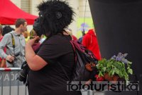 Run for Gorillas
