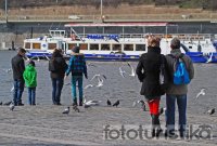 Sightseeing boat cruises