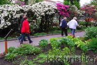 The Botanical Garden of Science, Charles University - Prague 2