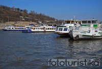 Sightseeing boat cruises