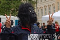 Run for Gorillas