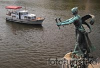 Sightseeing boat cruises