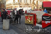 Carriage rides