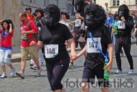 Run for Gorillas