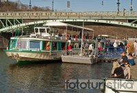 Sightseeing boat cruises