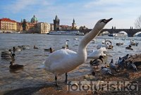 Old Town from Lesser Town