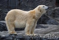 Prague Zoo - Prague 7