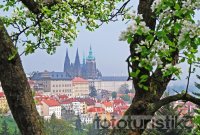 Prague Castle from Petřín Hill