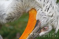 Prague Zoo - Prague 7