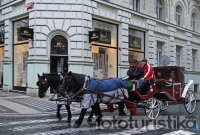 Carriage rides