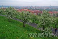 Petřín Hill