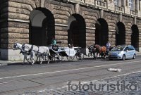 Carriage rides