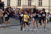 Run for Gorillas