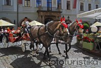Carriage rides