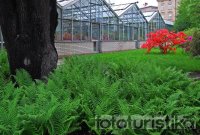 The Botanical Garden of Science, Charles University - Prague 2