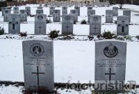 Olšany cemetery