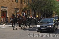 Carriage rides