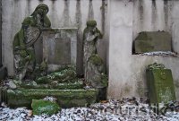 Olšany cemetery