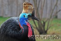 Prague Zoo - Prague 7