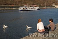 Sightseeing boat cruises