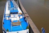 Sightseeing boat cruises