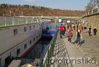 Sightseeing boat cruises
