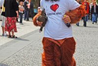 Run for Gorillas