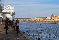 View from Kampa Island
