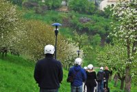 Segway rides