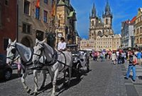 Carriage rides