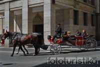 Carriage rides