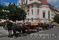 Carriage rides