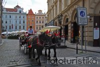 Carriage rides