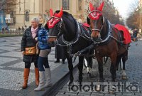 Carriage rides