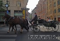 Carriage rides