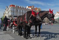 Carriage rides