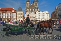 Carriage rides