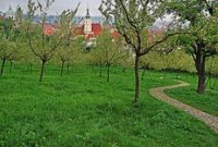 Petřín Hill